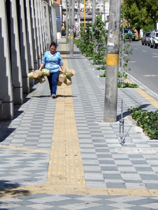 Andenes que nos acercan, fotografía 3 del catálogo PRENAR